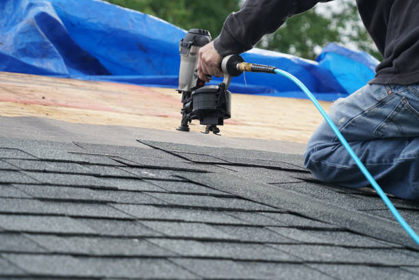 Best Green or Eco-Friendly Roofing Solutions  in Howey In The Hills, FL