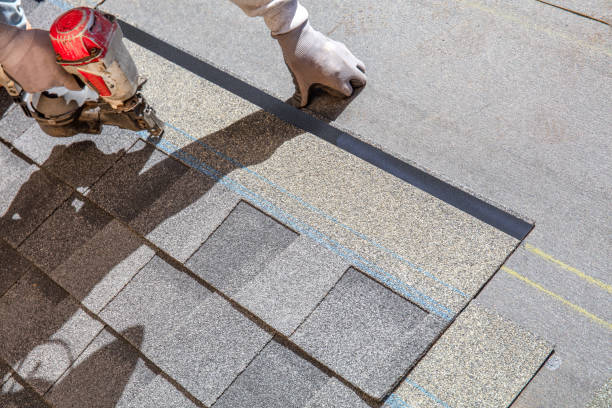 Best Roof Insulation Installation  in Howey In The Hills, FL